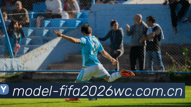 FIFA官方授权证书